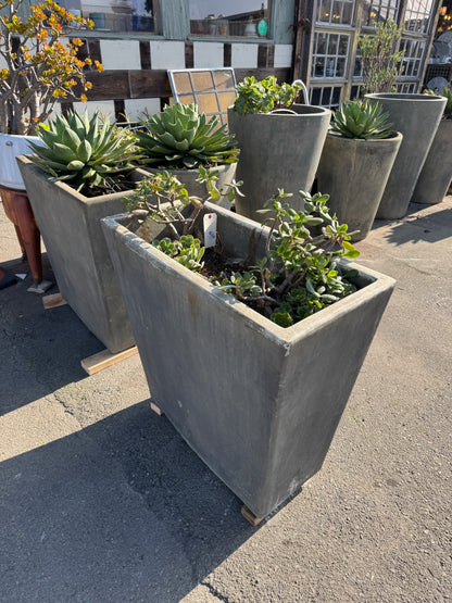 Large Concrete Giannini Planters