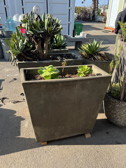 Large Concrete Giannini Planters