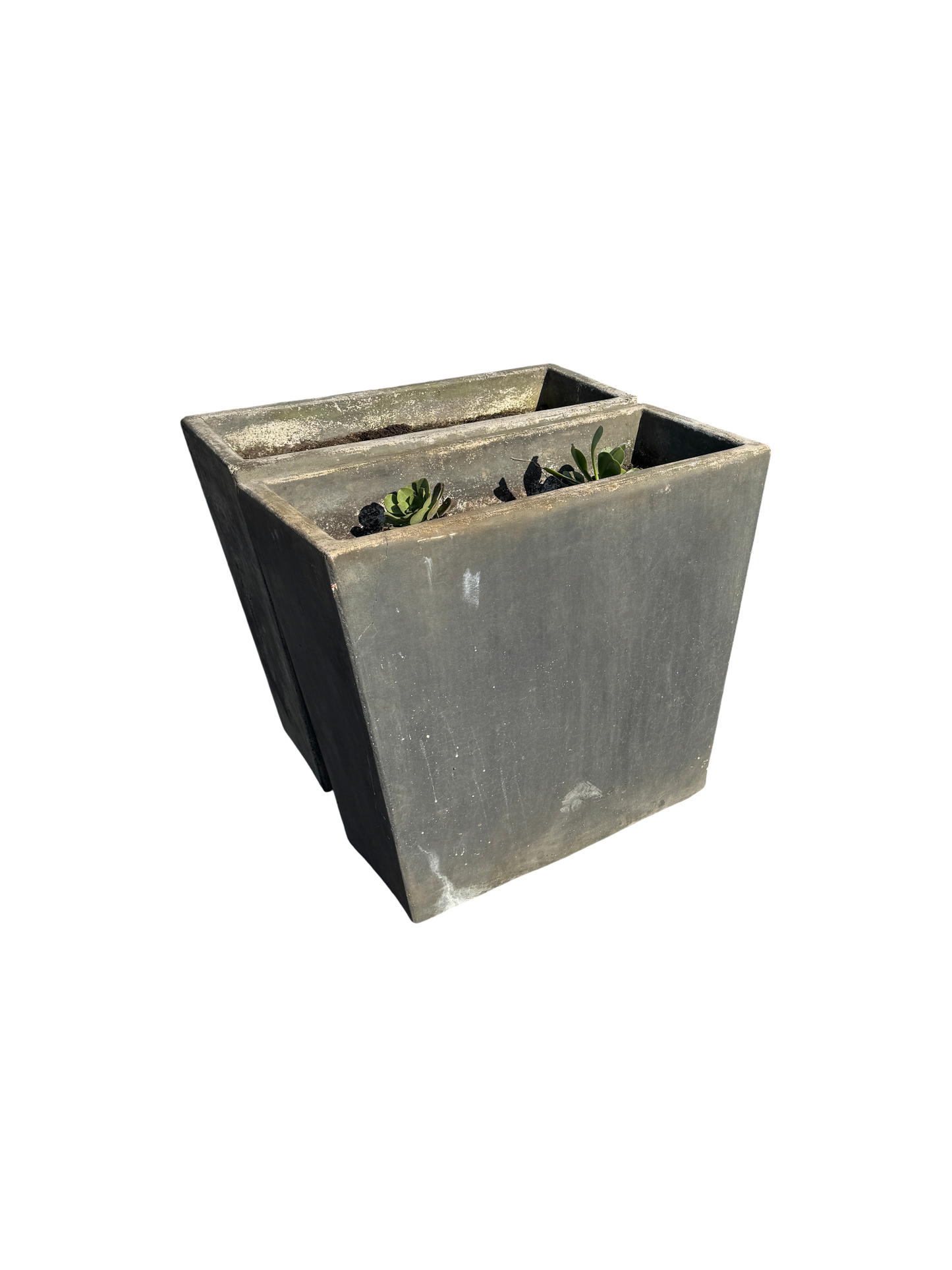 Large Concrete Giannini Planters