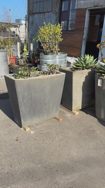 Large Concrete Giannini Planters